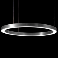{{photo.Alt || photo.Description || 'Светильник Light Ring Horizontal D90 Nickel в стиле Henge'}}
